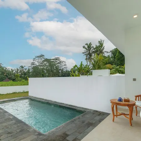The Surana Villas Ubud With Rice Field View