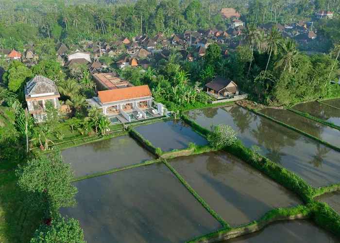 ゲストハウス The Surana With Rice Field View