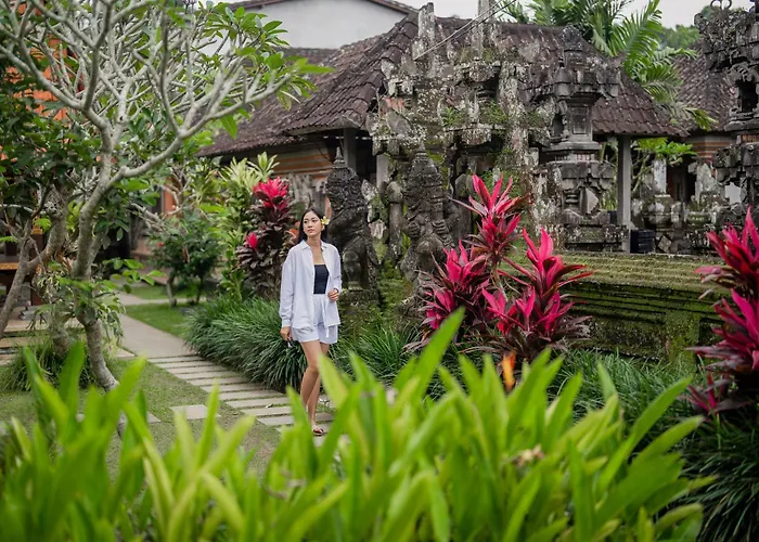 The Surana With Rice Field View