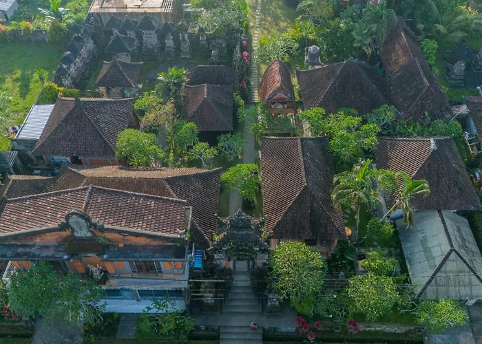 The Surana With Rice Field View