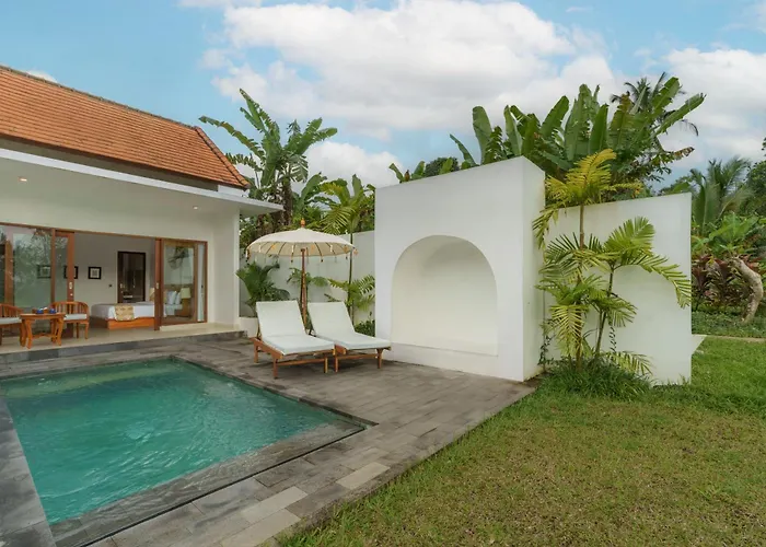 The Surana With Rice Field View 4*